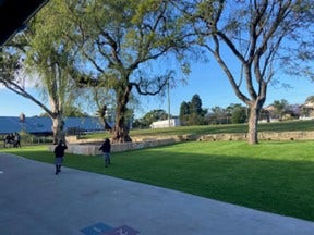 Grassed and concrete areas of school with trees