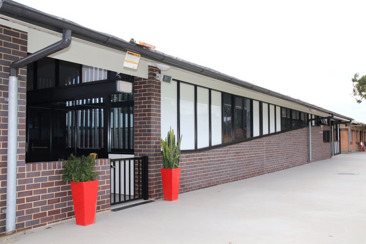 school building with two red pots and plants